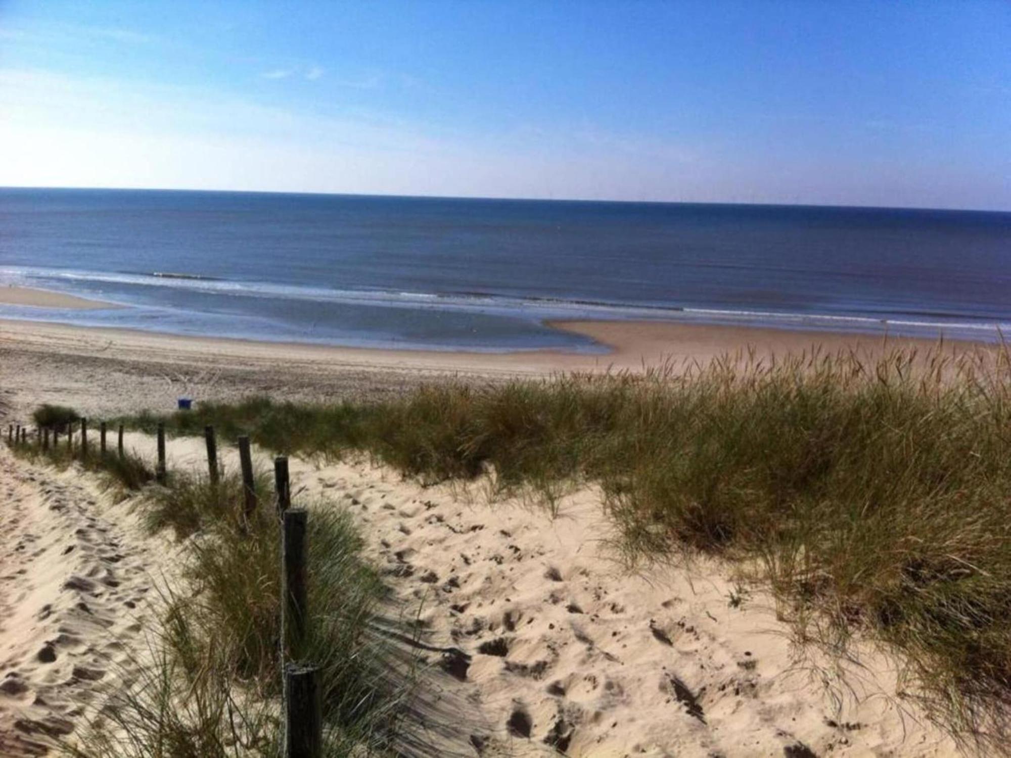 Quaint Summer Holiday Home In Egmond Binnen Eksteriør billede